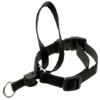 Недоуздок для собак, размер 1 (шея 29-38 см)
